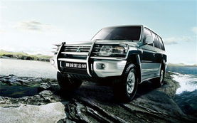 猎豹有多少台汽车