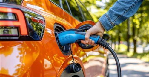 中国汽车汽油最高多少