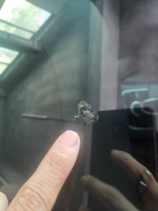 汽车裂痕修复多少钱