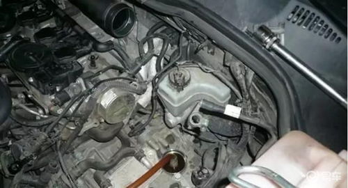 汽车换汽油滤芯多少钱 汽车换汽油滤芯多少钱