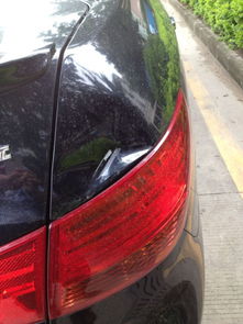 汽车整形外壳修复多少钱