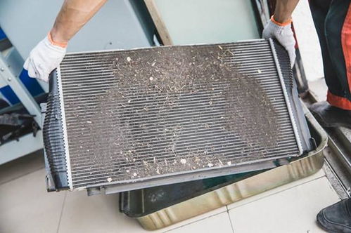 洗汽车水箱多少钱 洗汽车水箱多少钱