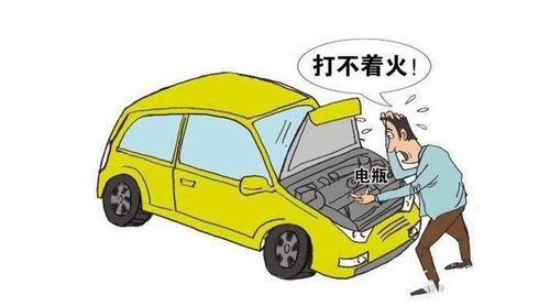 汽车小电瓶多少付