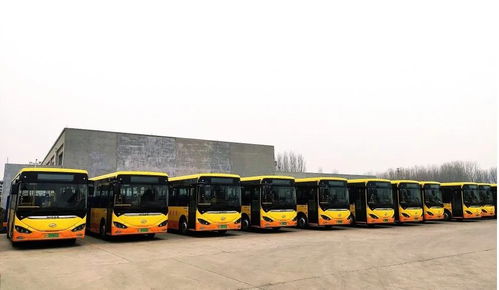 济宁到泗水汽车多少钱