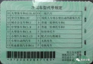 汽车座位险该买多少