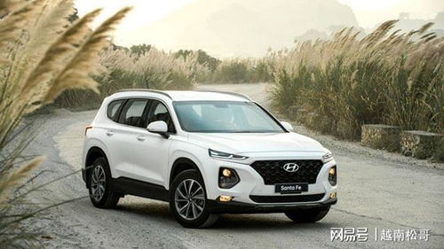 越南汽车现代价格多少