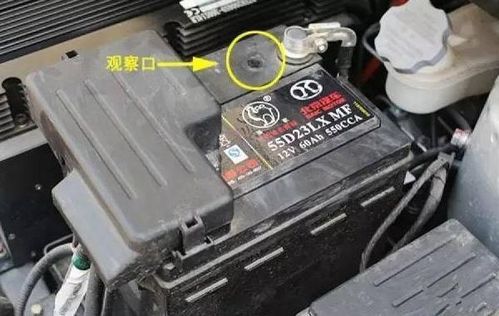 汽车电瓶最大多少电压