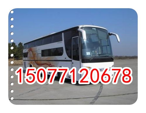 昆明到景洪汽车多少钱 昆明到景洪汽车多少钱