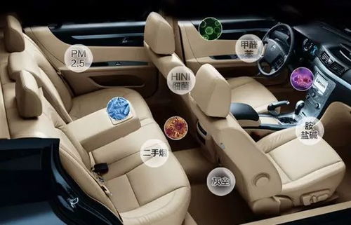 什邡汽车除甲醛费用多少