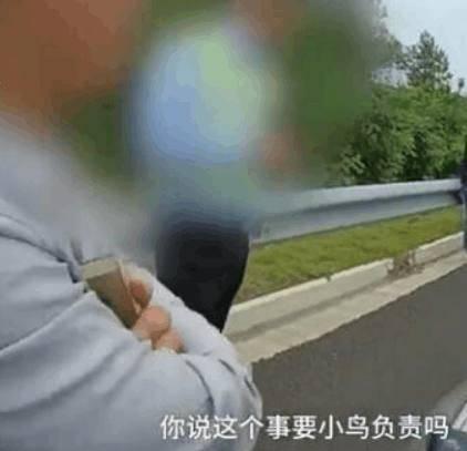 汽车撞多少鸟 汽车撞多少鸟