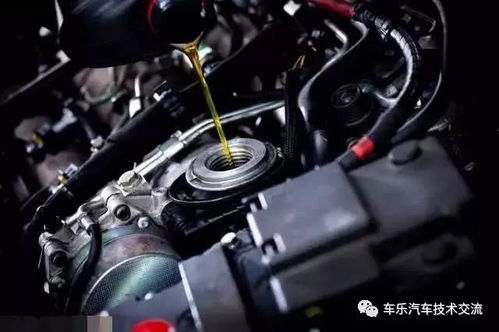 汽车加机油多少钱