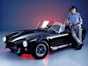 眼镜蛇汽车多少钱