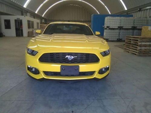 吕梁野马汽车多少钱