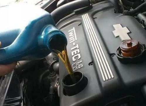 保养汽车换机油多少钱