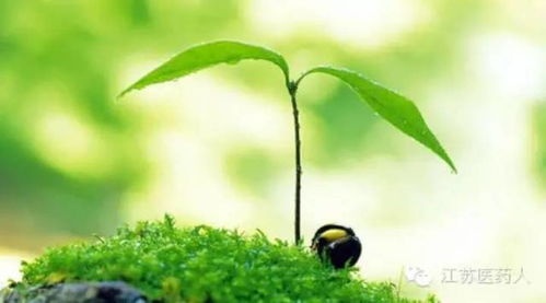 今日惊蛰：谨防这些“致命”的小东西