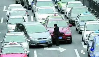 沧州有多少商用汽车