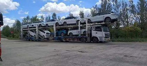 宠物汽车托运需要多少钱