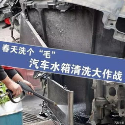 汽车清理水箱多少钱