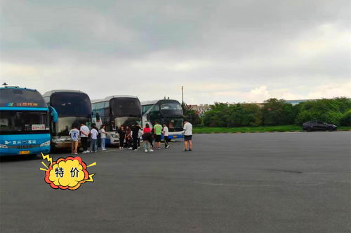 威海乳山汽车温度多少 威海乳山汽车温度多少