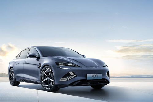 海豹汽车多少钱