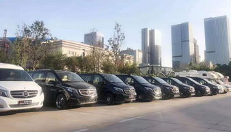 肥城到青岛汽车多少钱 肥城到青岛汽车多少钱