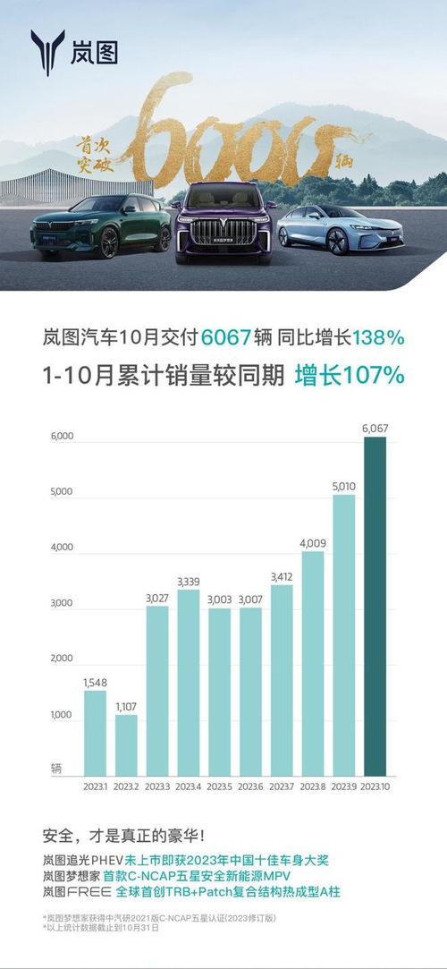 11万新汽车交多少税种