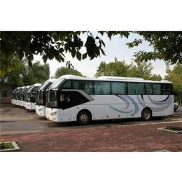 晋州到邯郸汽车多少钱 晋州到邯郸汽车多少钱