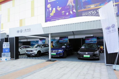 汽车进站可以带多少酒