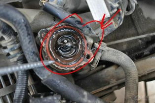 汽车接温器多少钱