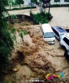 重庆到巫溪汽车多少点 重庆到巫溪汽车多少点