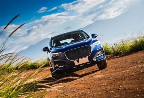 汽车一年多少钱