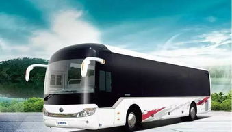 鹰潭到弋阳汽车多少时间一趟 鹰潭到弋阳汽车多少时间一趟