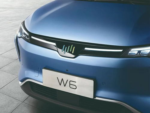 威马汽车w6多少钱 威马汽车w6多少钱