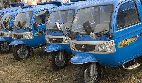 三轮汽车强制险多少钱