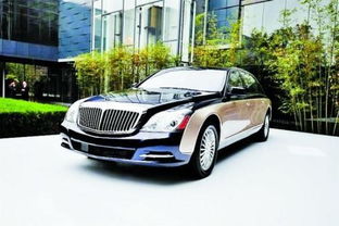 公司有多少辆汽车要交税