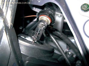 换个汽车大灯泡多少钱