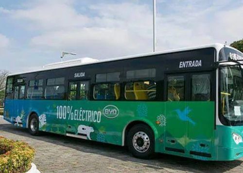 纯电动公共汽车多少钱