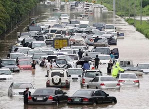 汽车自燃险保额多少