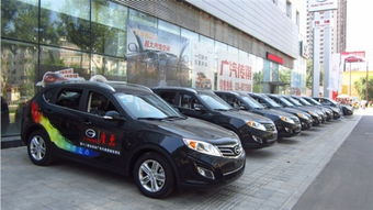 罗斯汽车珠海投资多少