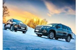 品牌汽车在全国有多少