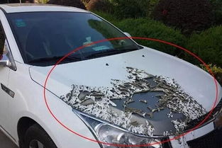 汽车油漆多少一个面 汽车油漆多少一个面