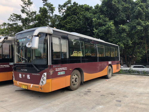 国外黄牌汽车多少钱