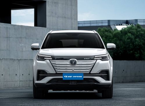 汽车冰种加多少