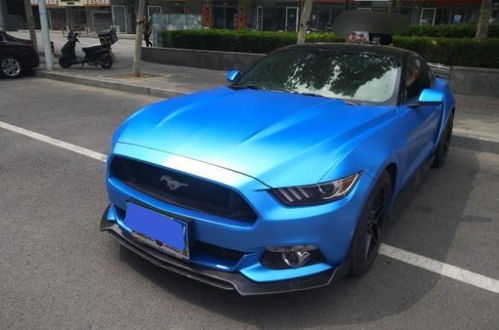 野马汽车最大载重多少吨 野马汽车最大载重多少吨