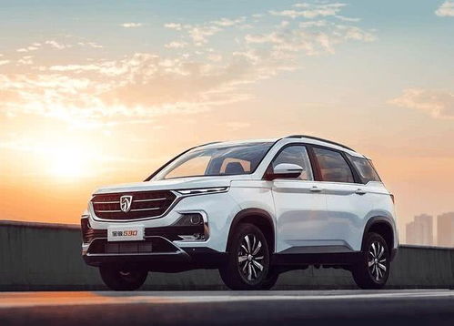 中国牌子汽车有多少