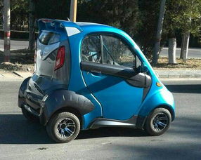 丽驰电动汽车多少钱