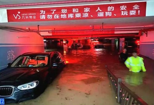 郑州汽车淹水理赔多少