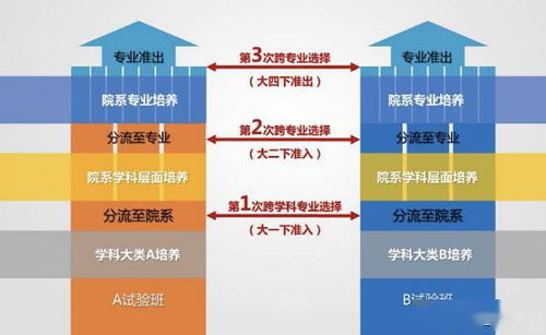 双一流高校本科再扩招2万人