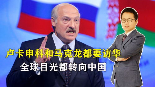 卢卡申科:中国不想要战争