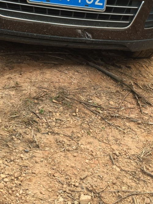 汽车碰撞修理多少钱